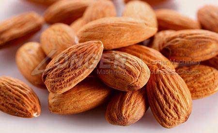 almond shelling machine price in india