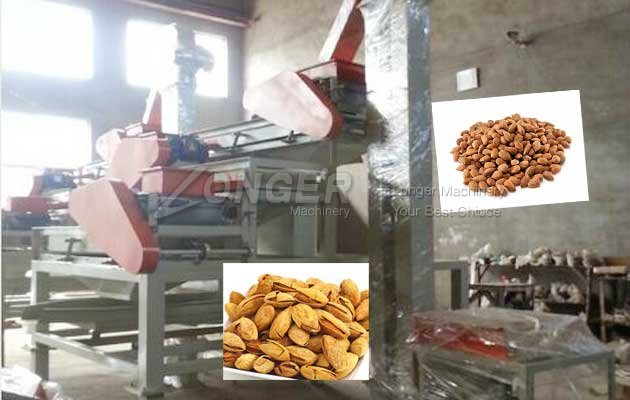 almond shelling machine almond cracker machine pasked to spain